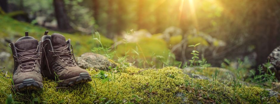 MTV-Gruppe wandert im Büsenbachtal