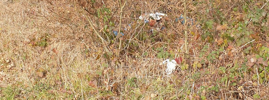 Wilde Müllablagerung - nähe Tonabbau