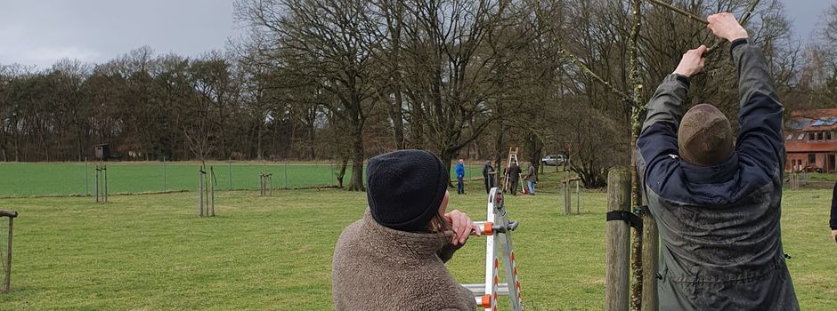 Kostenlose Obstbaumschnittkurse