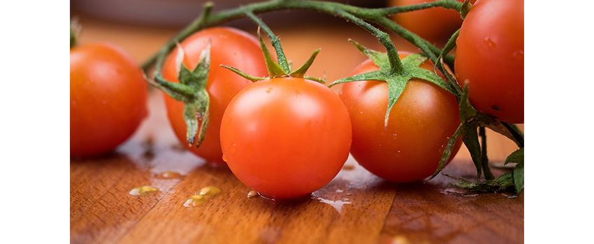 Nierstein feiert die rote Vielfalt: Großes Tomatenfest der Solawi