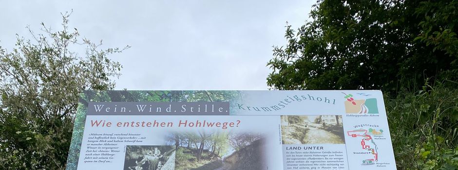 Wein.Wind.Stille