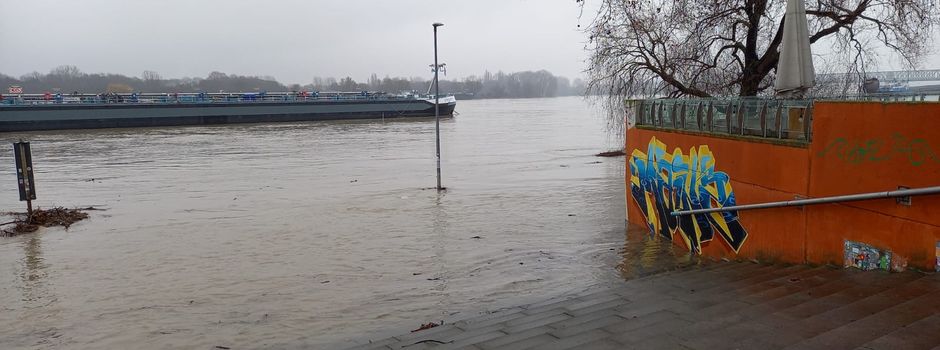 Hochwasser in Mainz: Rhein-Pegel steigt
