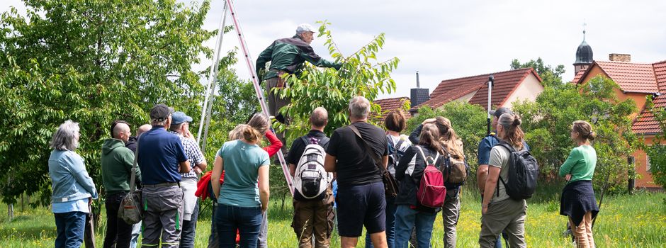 Praxisseminar „Sommerschnitt von Obstbäumen“ im Naturpark Hoher Fläming