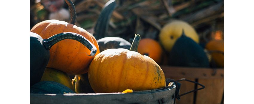 TuS Eimsheim lädt zum bunten Herbstfest für die ganze Familie