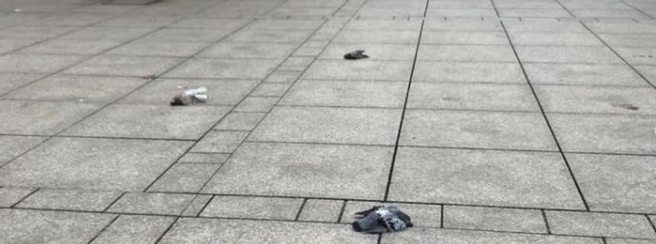 Tauben in Mainzer Altstadt massakriert
