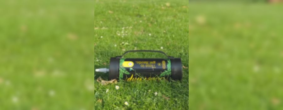 Lachgas-Kartuschen verunreinigen Wiesbadener Parks und Grünflächen