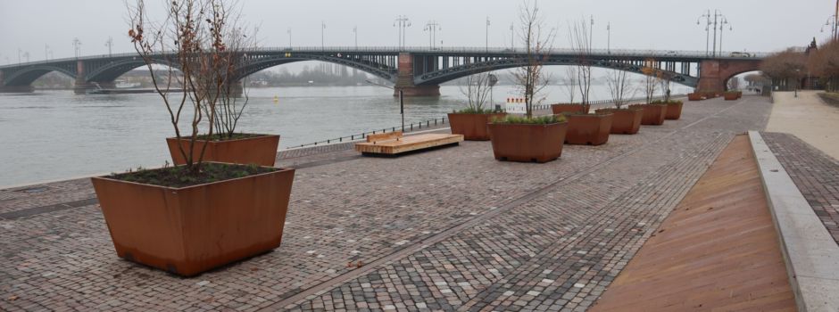 Stadt erklärt Vor- und Nachteile der Pflanzenkübel am Rheinufer