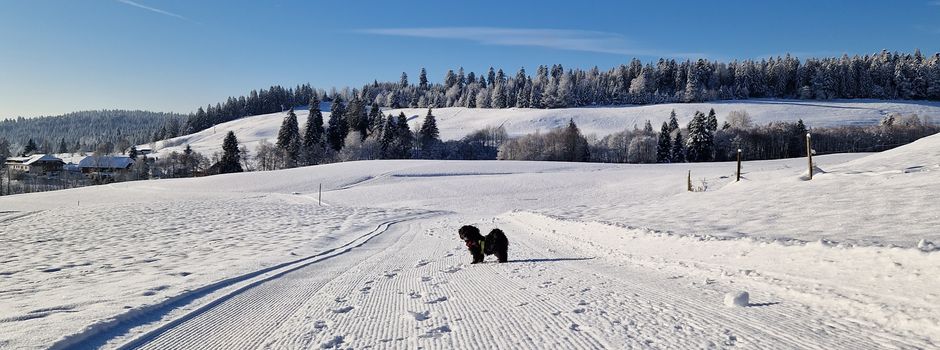 Winter in Dachsberg & Ibach