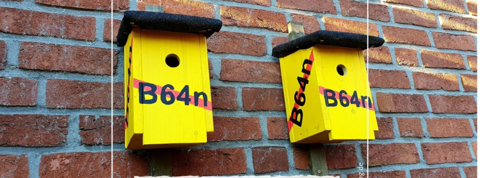 Leserbrief: Für- und wider B64n