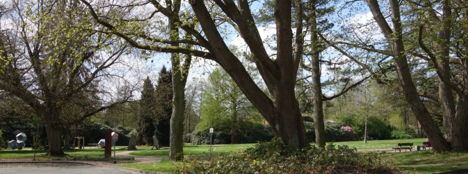 Müllsäcke im Böhmepark entleert