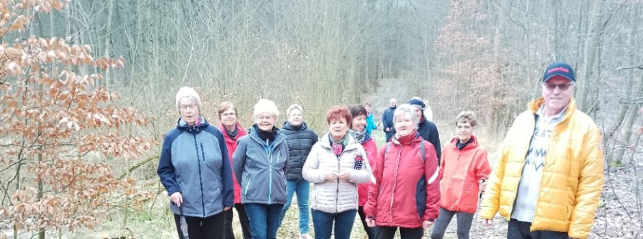 Waldwanderung im Monat März