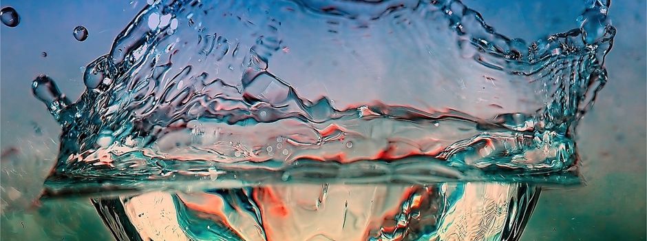 Neujahrsempfang der NABU-Gruppe Waldems