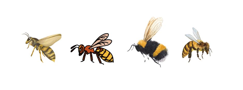 Mehr als nur ein Summen