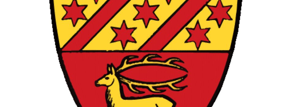 Ergebnisse der Landtagswahl 2026 für Bingen