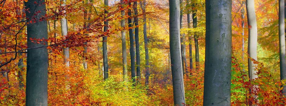Zweites Treffen der NAJU-Gruppe Waldems