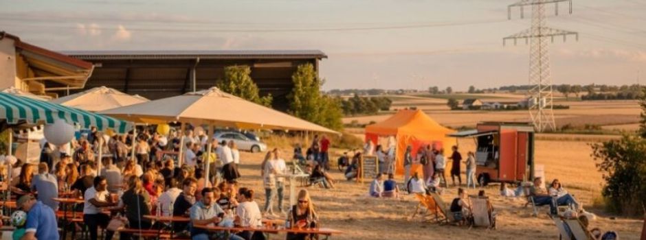 Das nächste Sommerevent in den Mainzer Weinbergen steht an