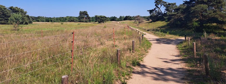 Schutz für Mainzer Naturschätze: Neue Stiftung gegründet