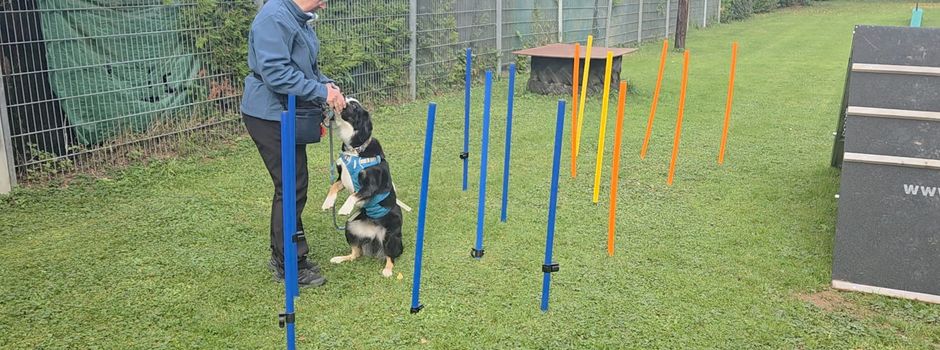 Obedience-Seminar beim VSG Ravolzhausen