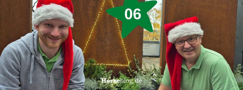 Adventskalender Tag - 06 - Zahnarztpraxis Dr. Kamphusmann