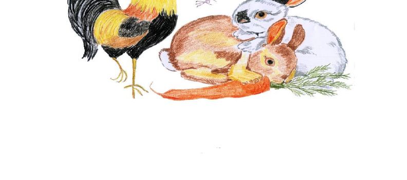 Generalversammlung Kaninchen- und Geflügelzuchtverein C46 Eschelbronn