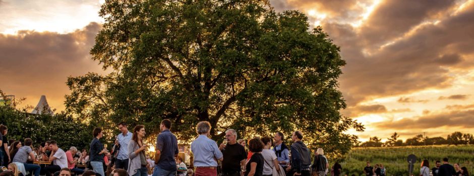 Das ist das Programm der Binger Sommernacht