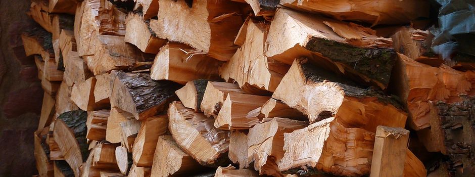 Einladung zur Infoveranstaltung „Brennholz-Selbsterwerb“ am 19.12.