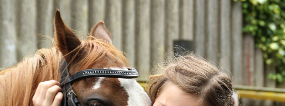 Ponyschule