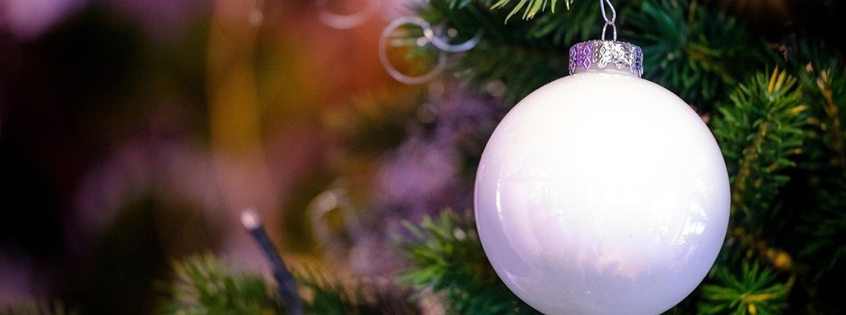 Wir suchen einen Weihnachtsbaum