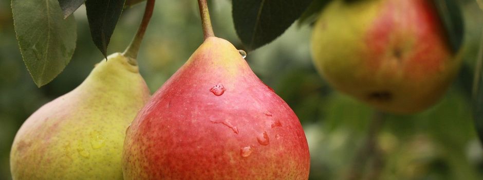 Diebstahl in der KITA Arche Noah