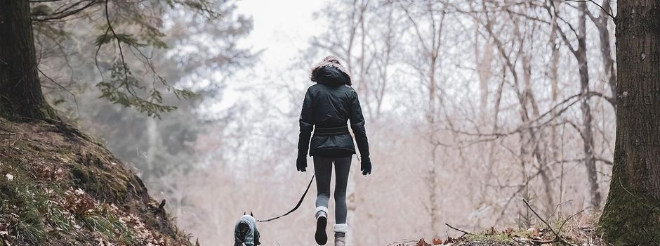 „Liebe Hundebesitzerinnen und Hundebesitzer, liebe Gassigänger“