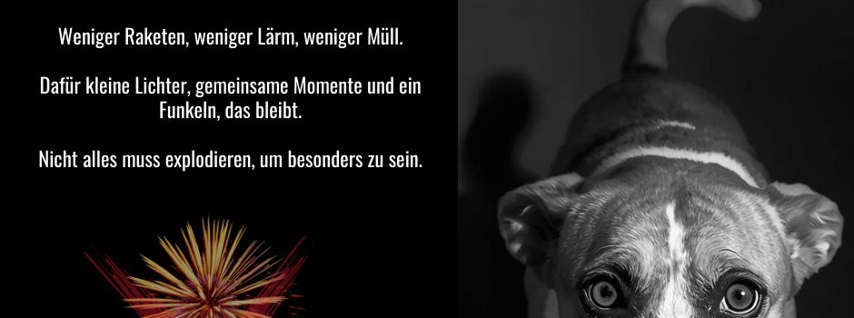 Heiden, Dezember 2025 – Bitte denkt an unsere Tiere und Mitmenschen!