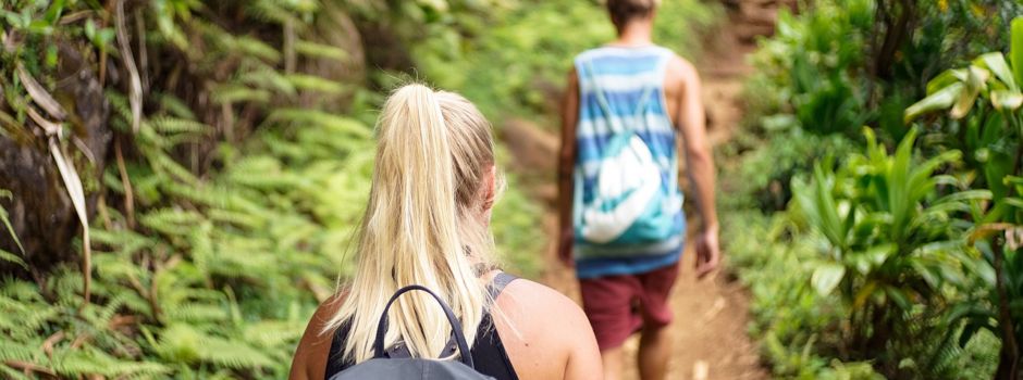 19. Botanische Wanderung mit Heinz Sluschny