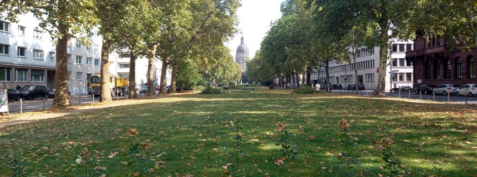 Dealer will Mainzer Polizisten Gras verkaufen