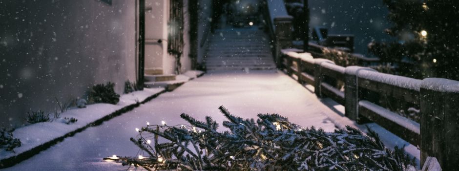 Einsammlung der ausgedienten Weihnachtsbäume