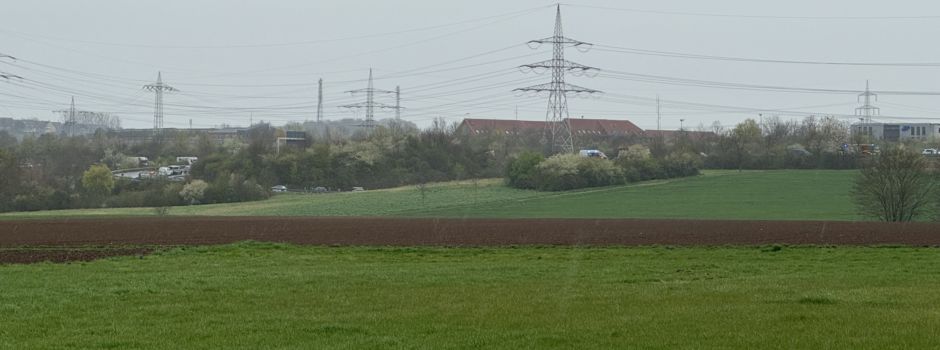 Unfall auf A60 bei Mainz: Vier Verletzte und ein entlaufener Hund