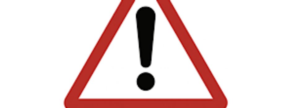 Gefahr durch kranke Kastanien in der Kastanienallee Hof Trebbow