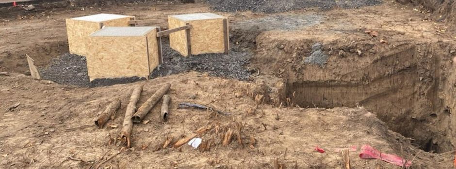 Die Robbe kehrt bald zurück