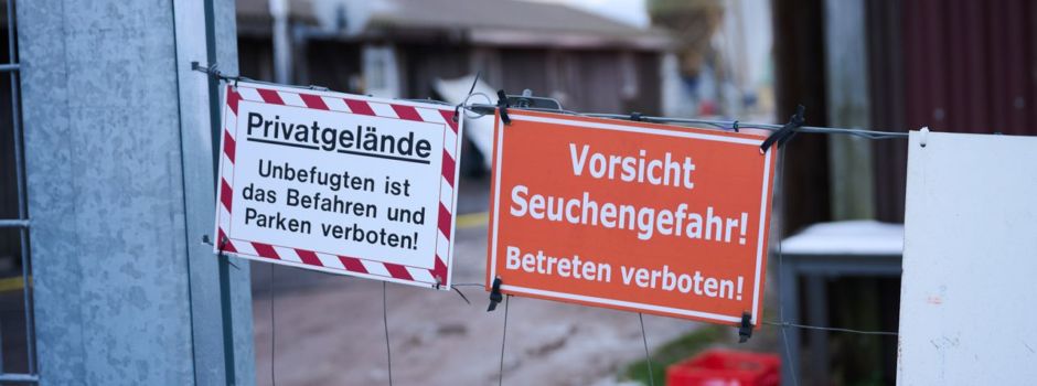 Transportverbot für Tiere in Brandenburg wird aufgehoben