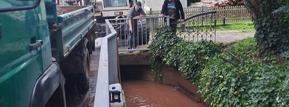 Erfolgreicher "Aktionstag Bach"