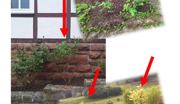 Baum- und Sträucher Spenden