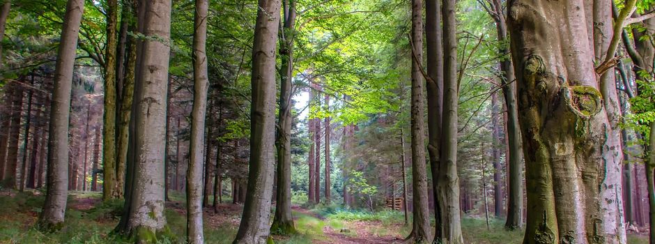 Wanderung / Grenzbegehung am 20.April 2024