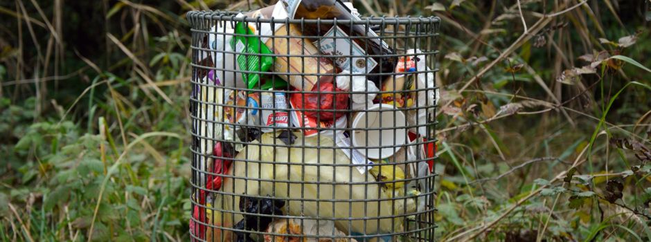 Ekel-Funde in Ingelheimer Mülleimern