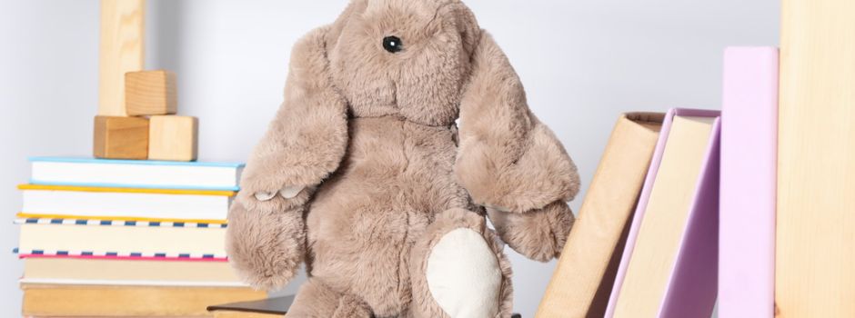 Kuscheltiere feiern Übernachtungsparty in der Stadtbücherei