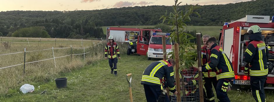 Feuerwehr Dannenfels meistert Baumpflanz-Challenge!