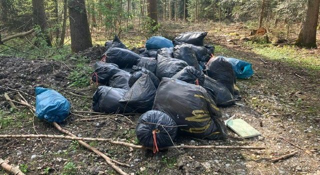 Unerlaubte Entsorgung von Müll