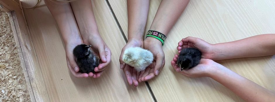 TIERisch was los beim FePro Rotenburg-Alheim