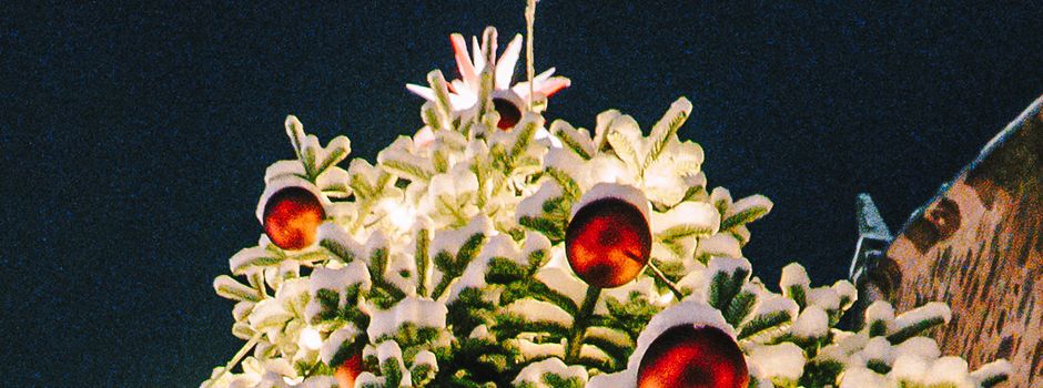 Stadt Rotenburg sucht Weihnachtsbäume