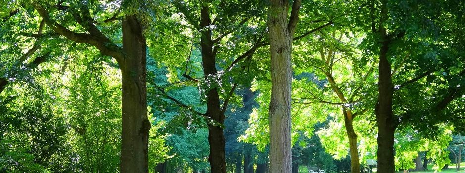August: Bewegungsangebot für Senioren