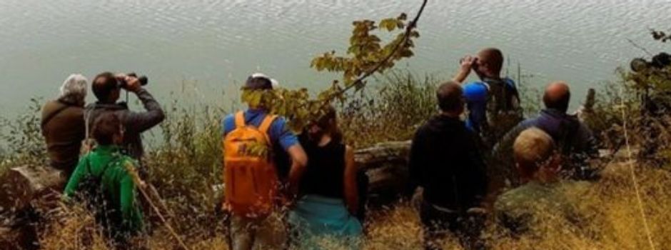 🌳🌊🌞NABU RLP bildet Wäller Seen Scouts aus👀🔎