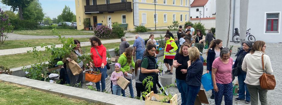 Erfolgreiche Pflanzentauschbörse mit Bastelaktion für Kinder 